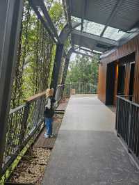 住進動物園的夜！Taronga最美棲息之旅