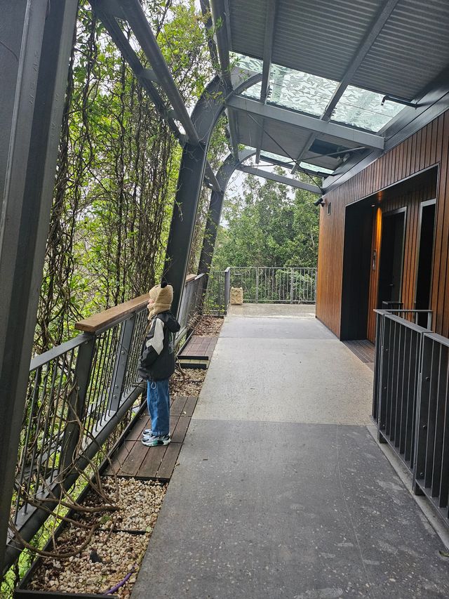 住進動物園的夜！Taronga最美棲息之旅