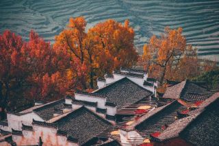 Jiangxi’s ultimate self-driving experience leads you into a painting-like autumn scenery!