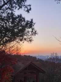 南京5年打工人的超濃縮攻略本地人帶你玩轉六朝古都