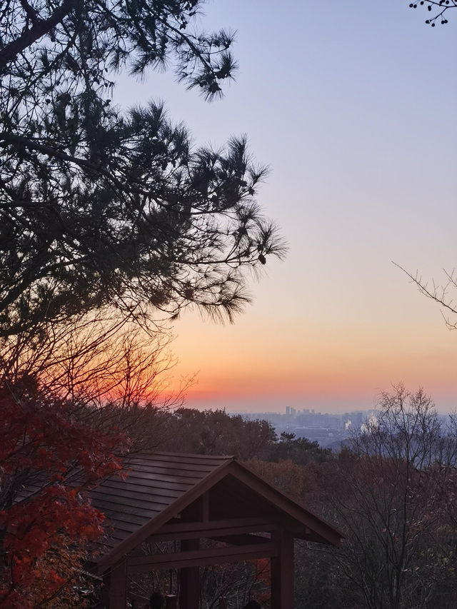 南京5年打工人的超濃縮攻略本地人帶你玩轉六朝古都