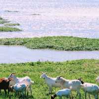 初冬江浙滬徒步指南丨金秋限定美景打卡地全公開！