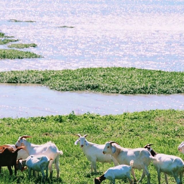 初冬江浙滬徒步指南丨金秋限定美景打卡地全公開！