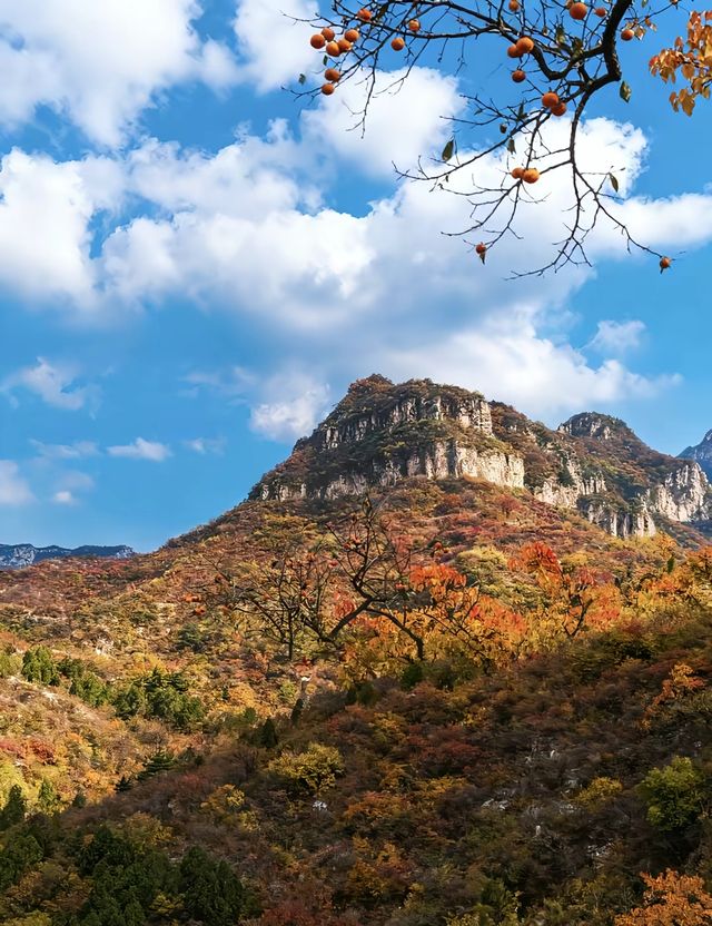 暴走南太行｜邂逅別樣秋色與自我昇華