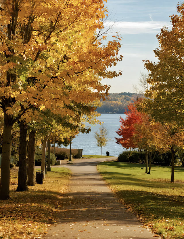 秋天的公園｜如詩如畫