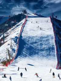 北京滑雪直通車開通!週末2小時直達雪場