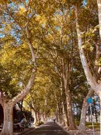 南京被嚴重低估的寶藏景點拍照美爆了