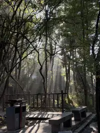 [11.05]跌宕起伏的張家界森林公園·攻略參考