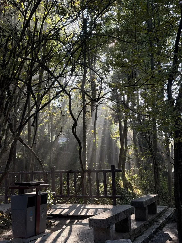 [11.05]跌宕起伏的張家界森林公園·攻略參考