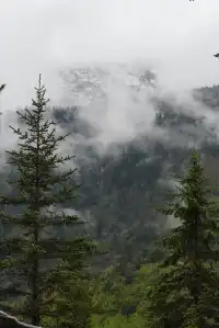 人生第一次帶相機雨林徒步!