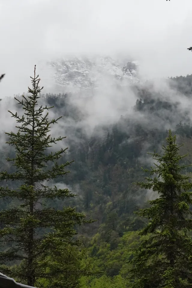 人生第一次帶相機雨林徒步! 人生第一次帶相機雨林徒步!