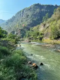 赴約山海｜台州自駕行程記錄（寵物友好版）