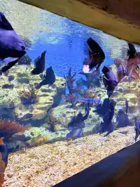 目測會成為泉州下一個No.1