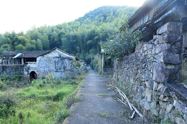 很有意思的村莊，豬頭嶺村？消失的世外桃源