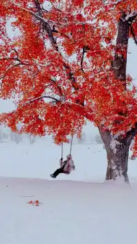 伊犁冬季遊|賽里木湖-庫爾德寧路線參考