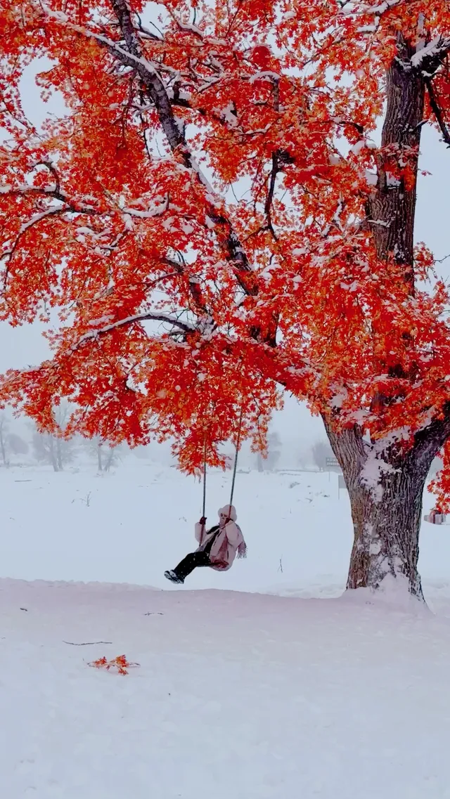 伊犁冬季遊|賽里木湖-庫爾德寧路線參考 伊犁冬季遊|賽里木湖-庫爾德寧路線參考
