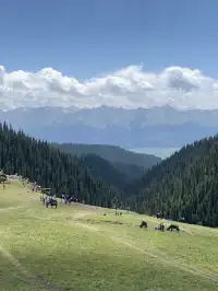 新疆伊犁8天暴走行程|自由行旅遊攻略