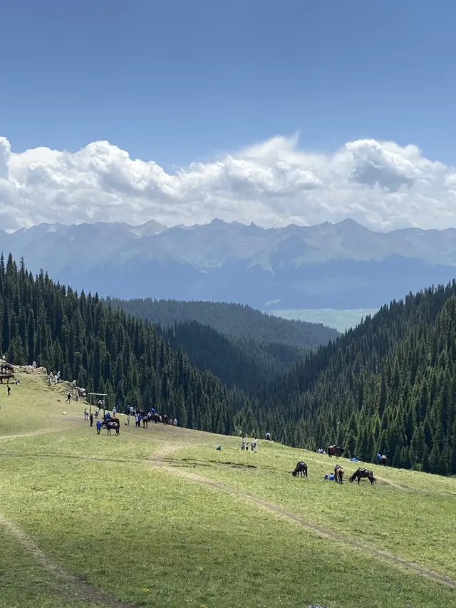 新疆伊犁8天暴走行程|自由行旅遊攻略 新疆伊犁8天暴走行程|自由行旅遊攻略