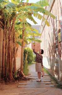 梧林古村落~紅牆白瓦石頭厝