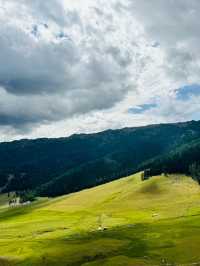 秋日限定阿勒泰地區等地美到失語快衝