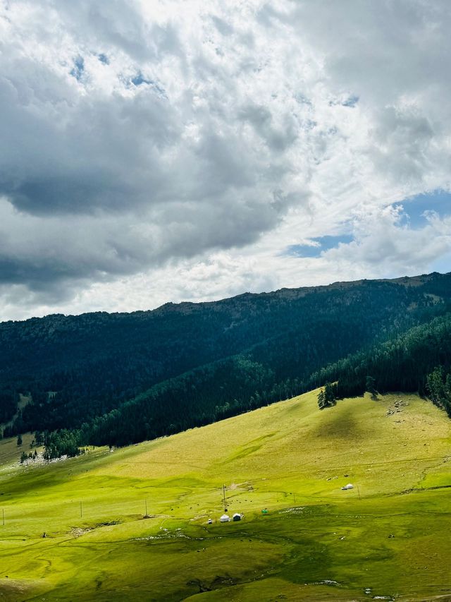 秋日限定阿勒泰地區等地美到失語快衝