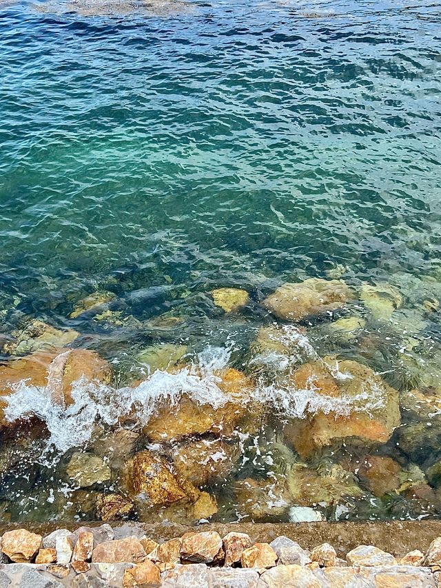 一起來看深圳桔釣沙 一起來看深圳桔釣沙