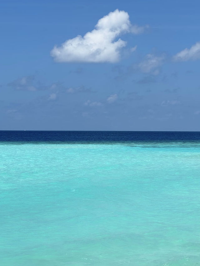 藍天碧海的馬代天堂,這裡不僅有絕美的海島風光,更有讓人沉醉的人文故事和美食體驗~ 行程亮點 藍天碧海的馬代天堂,這裡不僅有絕美的海島風光,更有讓人沉醉的人文故事和美食體驗~ 行程亮點