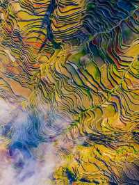 在雲南的山水秘境丘北,我發現了一家能同時收割日出、日落和滿眼荷塘的寶藏酒店——普者黑•野舍AWAKE