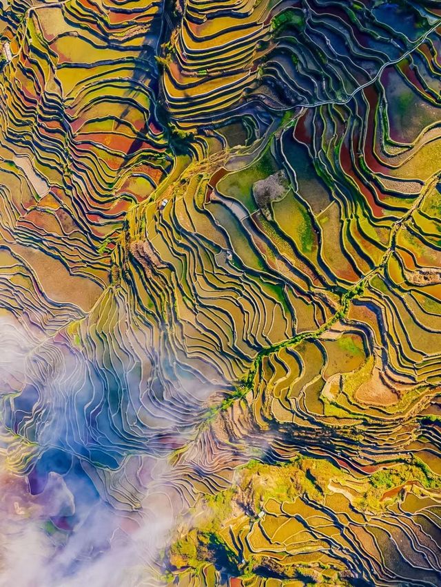 在雲南的山水秘境丘北,我發現了一家能同時收割日出、日落和滿眼荷塘的寶藏酒店——普者黑•野舍AWAKE 在雲南的山水秘境丘北,我發現了一家能同時收割日出、日落和滿眼荷塘的寶藏酒店——普者黑•野舍AWAKE