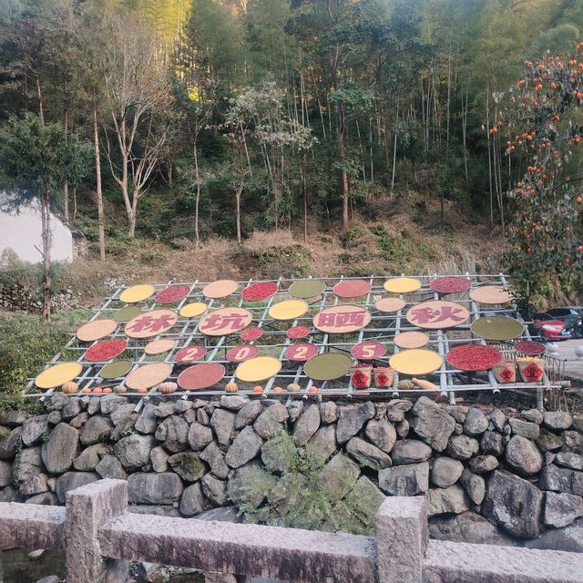 黃南林坑古村落｜藏著一整個絕美曬秋畫卷！