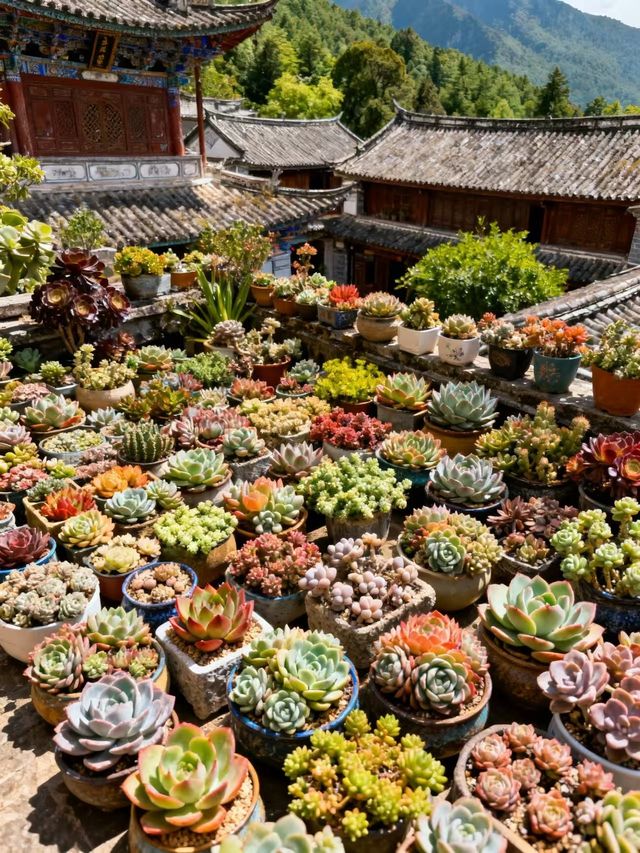 如果生活讓你感到疲憊，那就來雲南吧！ 這裡的陽光、藍天、雪山、古城…會讓你瞬間慢下來，找到生活的節奏