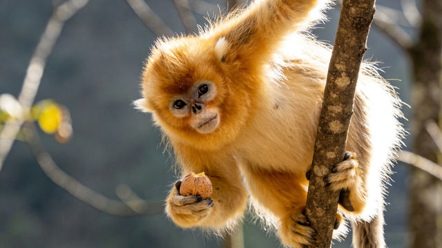四川·廣元-川北私藏！武則天故里