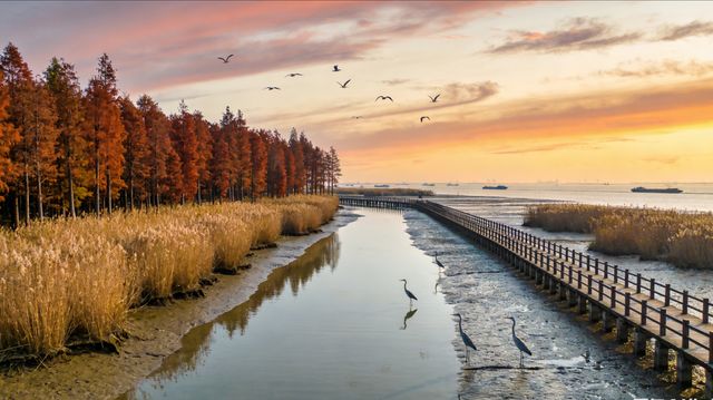上海西沙濕地一日遊超全行程表 上海西沙濕地一日遊超全行程表