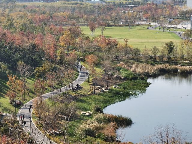 魔都秋色打卡 魔都秋色打卡