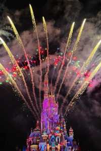 香港迪士尼離職工作人員 良心建議！