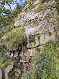 竹林寺∽廬山“空中佛國”！