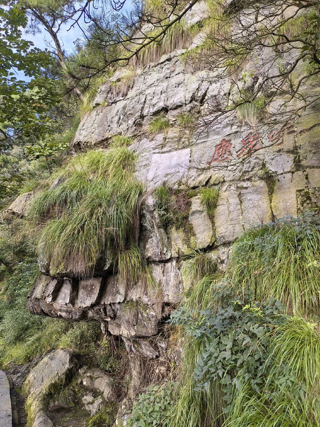 竹林寺∽廬山“空中佛國”！