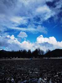 第一次趕海就上癮!南澳寶藏趕海攻略來啦