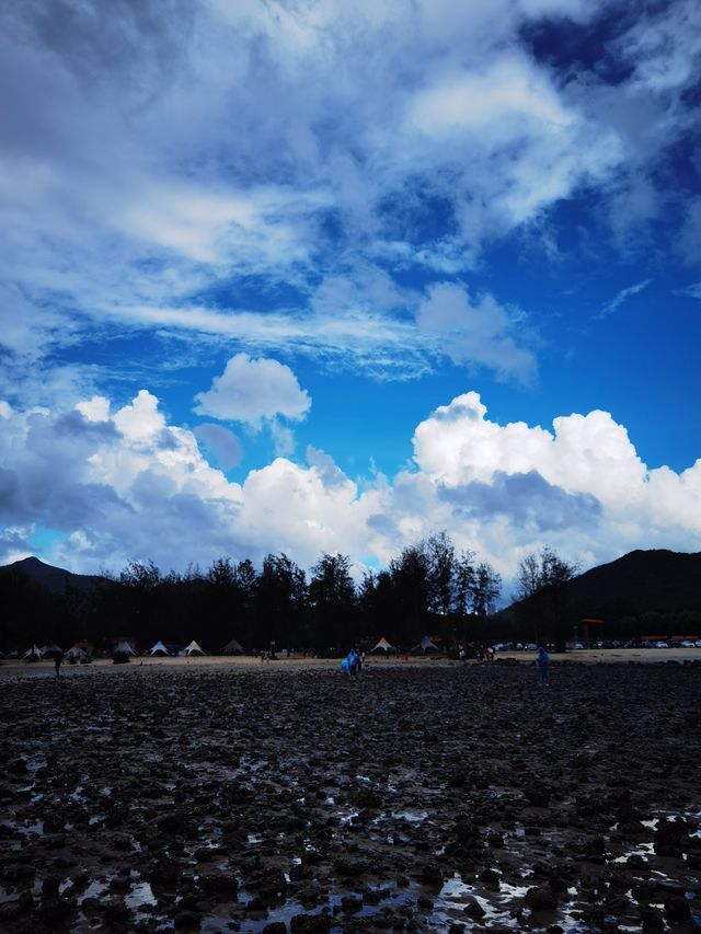 第一次趕海就上癮!南澳寶藏趕海攻略來啦 第一次趕海就上癮!南澳寶藏趕海攻略來啦