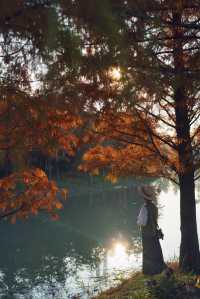 魔都的冬天有多美！紅得像火