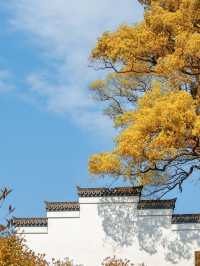 5天玩轉上饒-景德鎮-九江5日遊攻略來了