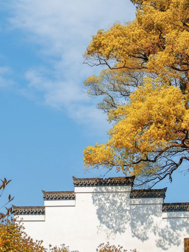 5天玩轉上饒-景德鎮-九江5日遊攻略來了