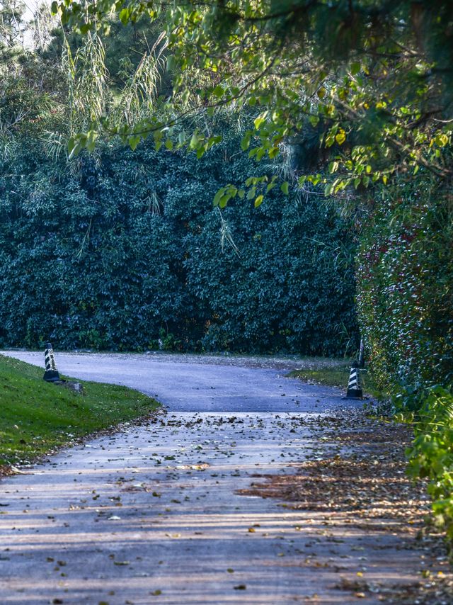 南京這個低調的度假天堂週末避開人潮就衝這 南京這個低調的度假天堂週末避開人潮就衝這