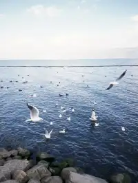 人均3k玩轉雲南8天!大理麗江香格里拉