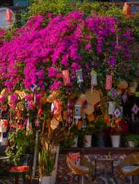 琅勃拉邦探秘慢生活