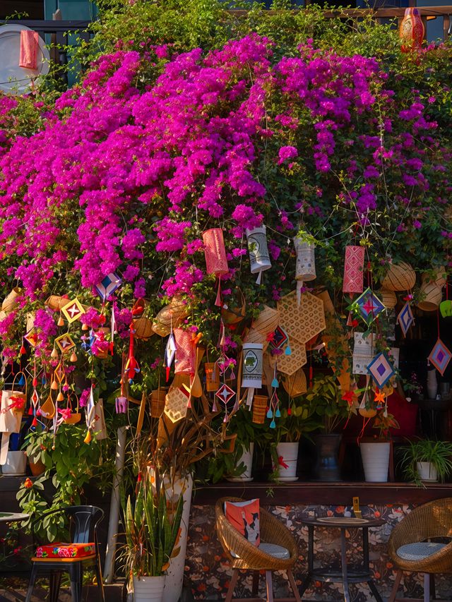 琅勃拉邦探秘慢生活