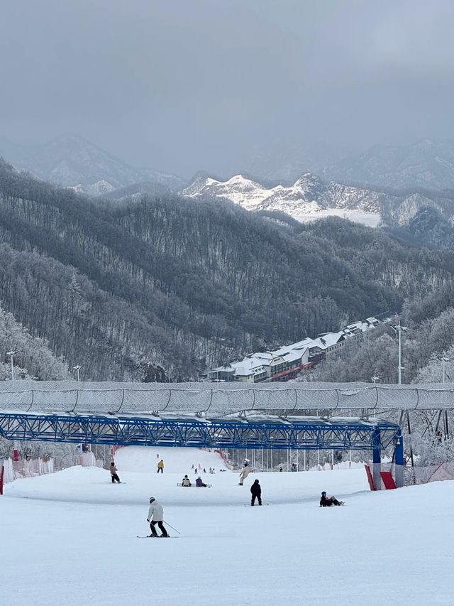 【洛陽旅行記事本】目的地性價及時令
