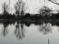 冬日晉祠貓伴遊