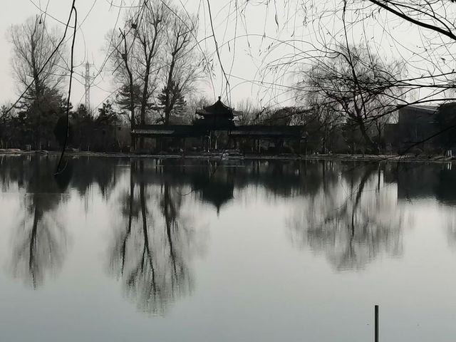 冬日晉祠貓伴遊 冬日晉祠貓伴遊