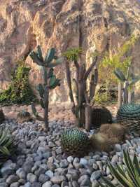 建水五龍湖四重奏